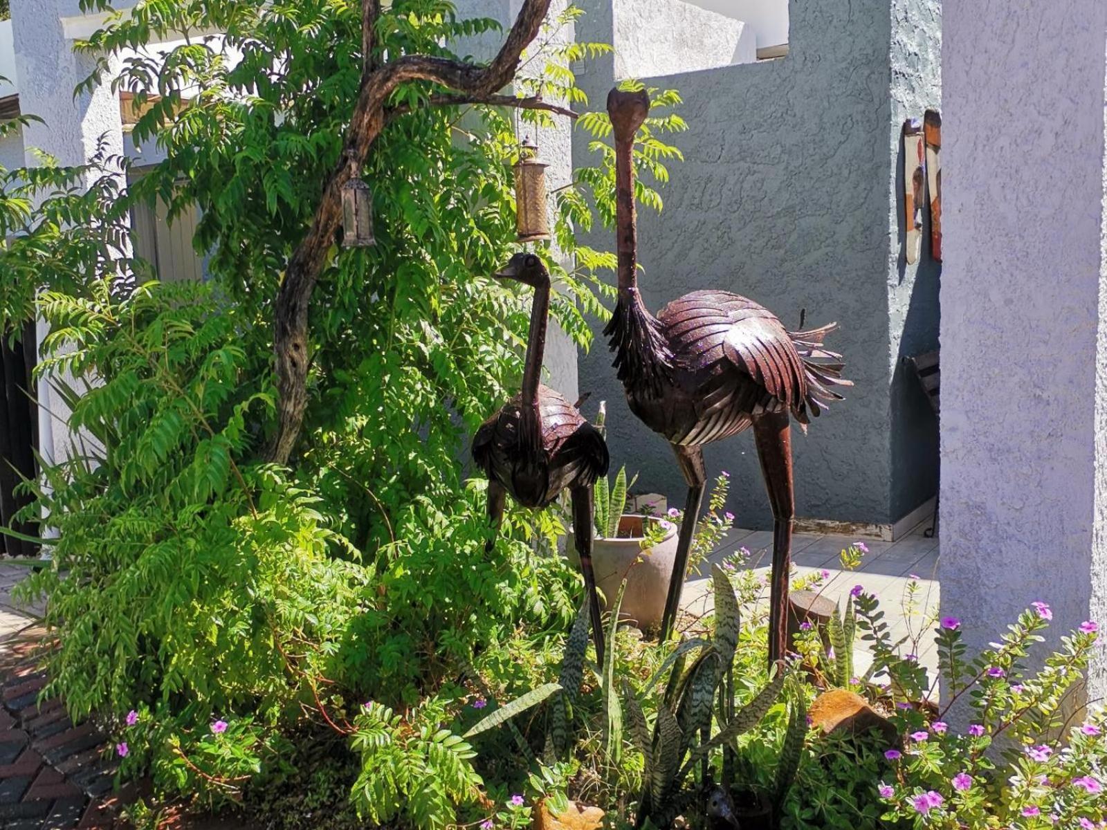 Guesthouse Terra Africa Windhoek Esterno foto