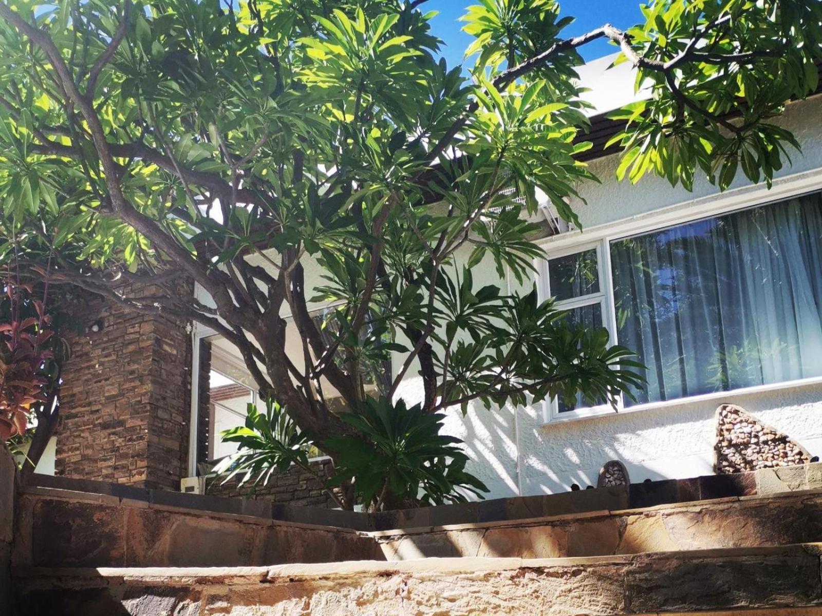 Guesthouse Terra Africa Windhoek Esterno foto